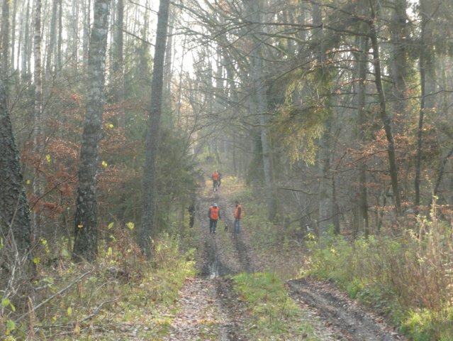 Hubertus 8.11.08